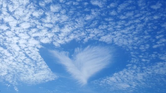 Unusual heart shape blue heart photo