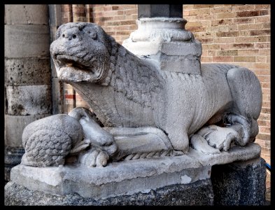 Leone stiloforo di pietra. Lodi, cattedrale 