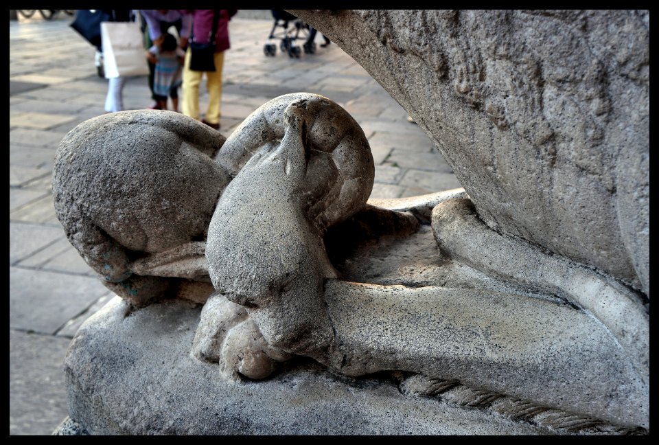 Leone stiloforo di pietra. Lodi, cattedrale 