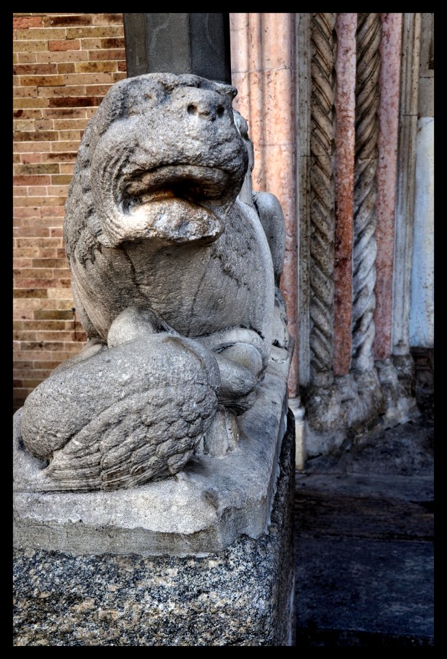 Leone stiloforo di pietra. Lodi, cattedrale 