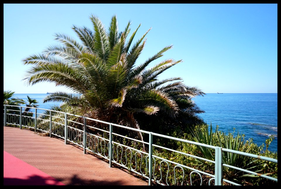 Genova Nervi, 2017 
