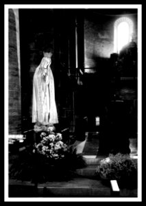 Madonna di Fatima - Cattedrale di Lodi 