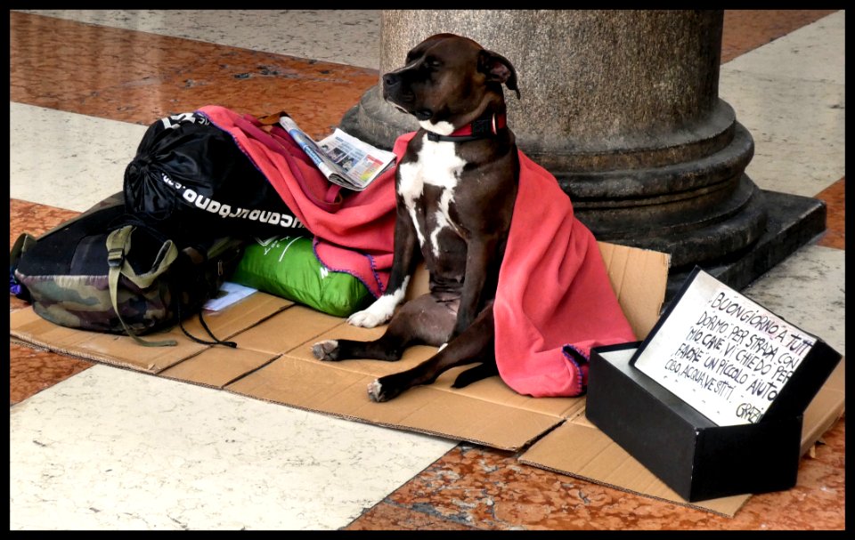 L'attesa... di una moneta photo