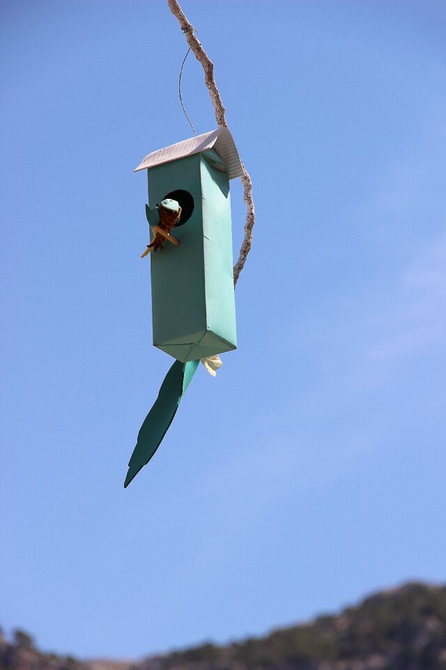 Nesting help birds nest