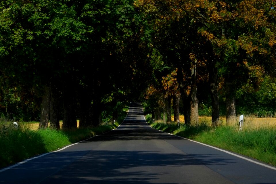 Away asphalt nature