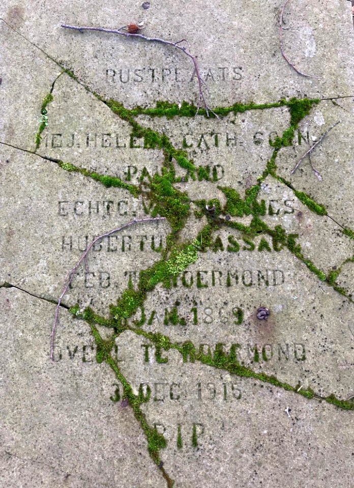 groene kerven des levens 