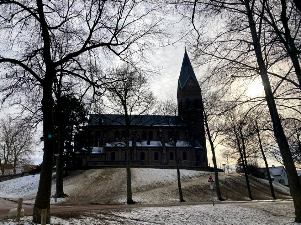 Linne in de vuile sneeuw 