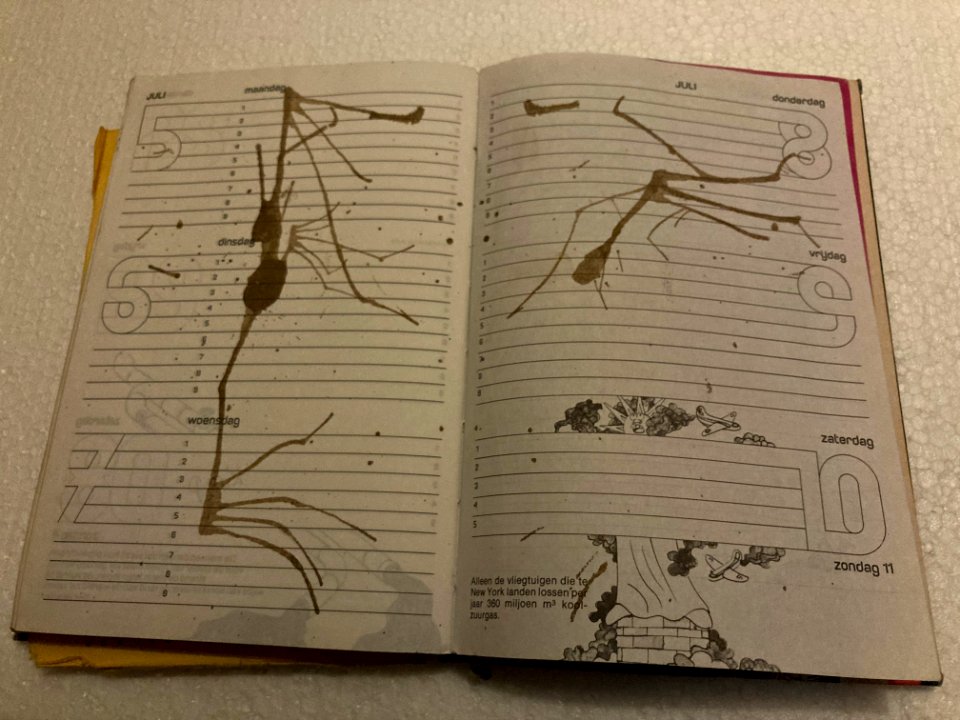 Mijn oude Ryam agenda met ecoline 