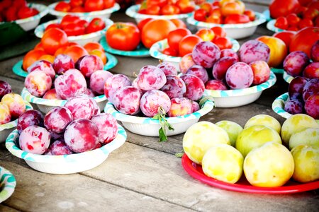 Garden organic fresh