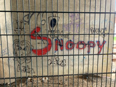 Snoopy achter de tralies 