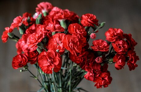 Nature bloom bouquet