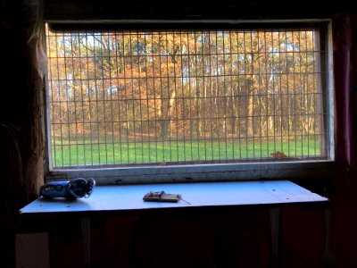 kaas in bijna op 