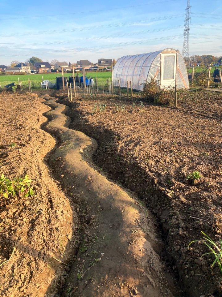 aardworm 