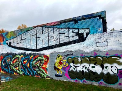 skatepark Sittard 