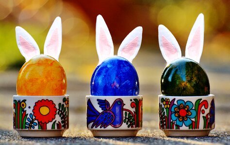 Hare rabbit ears ears