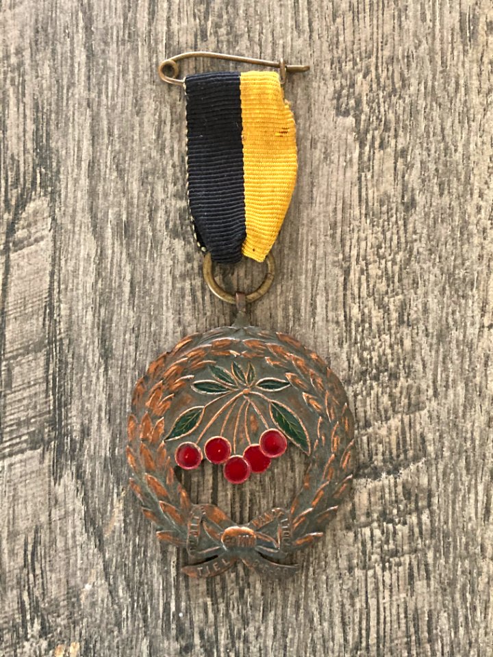 Medaille Tiel wandeltocht 1939 