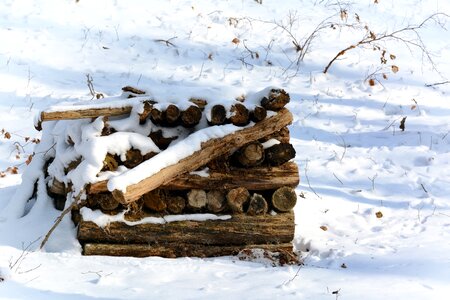 Heat firewood pile of wood photo