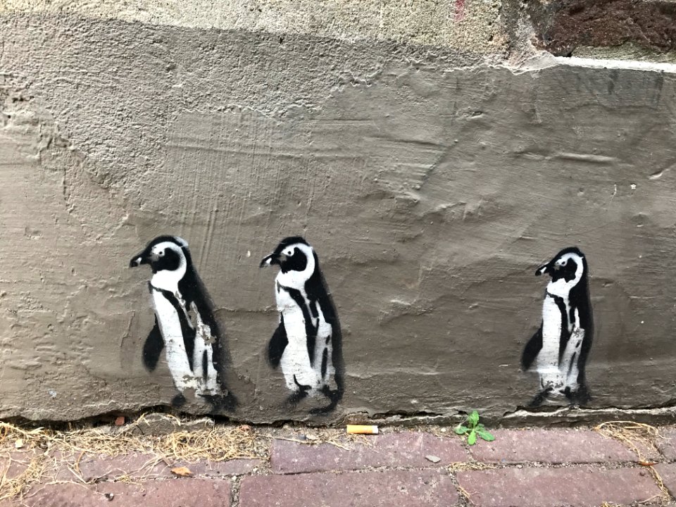 waar is de vierde pinquin? 