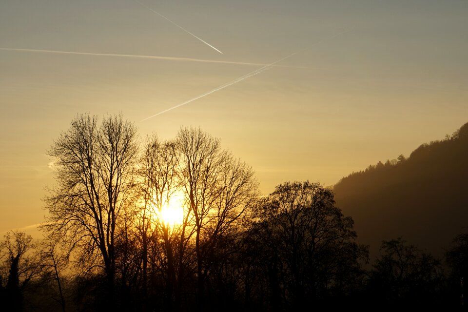 Sunset trees twilight