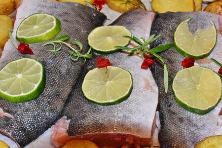 Fresh raw protein
