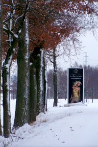 Voormalige Royal Times Alden Eik 