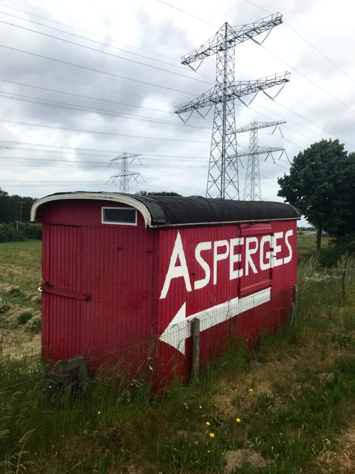 Rode asperges bij het Vonderen 
