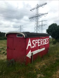Rode asperges bij het Vonderen 