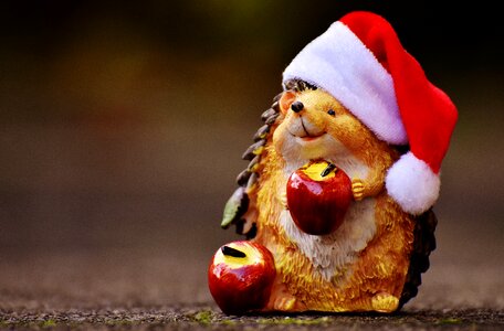 Santa hat decoration funny
