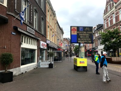 De franse lelie van Roermond 
