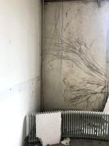 Urbex Roermond MOVEOO, Min van landbouw, rechtbank 
