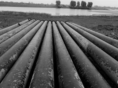 pipelines, Lus van Linne 