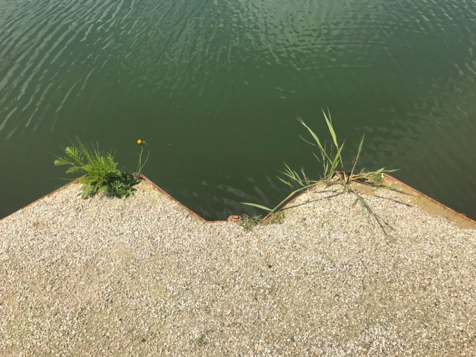 point of view 