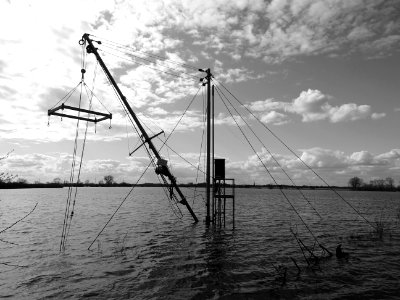 Dirigent des wateren 