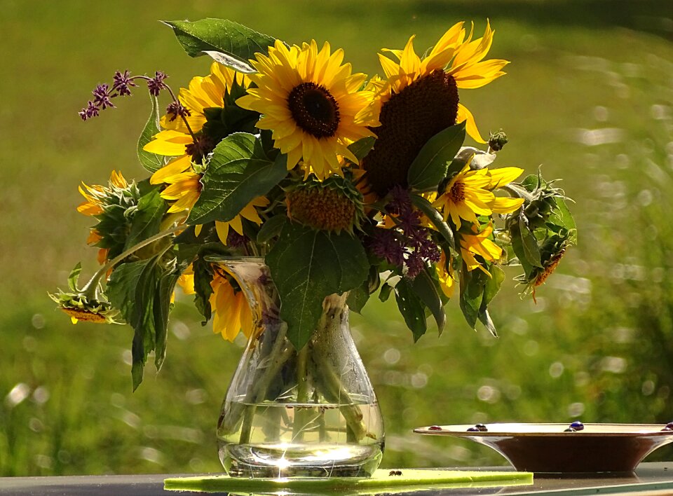 Bright yellow farbenpracht