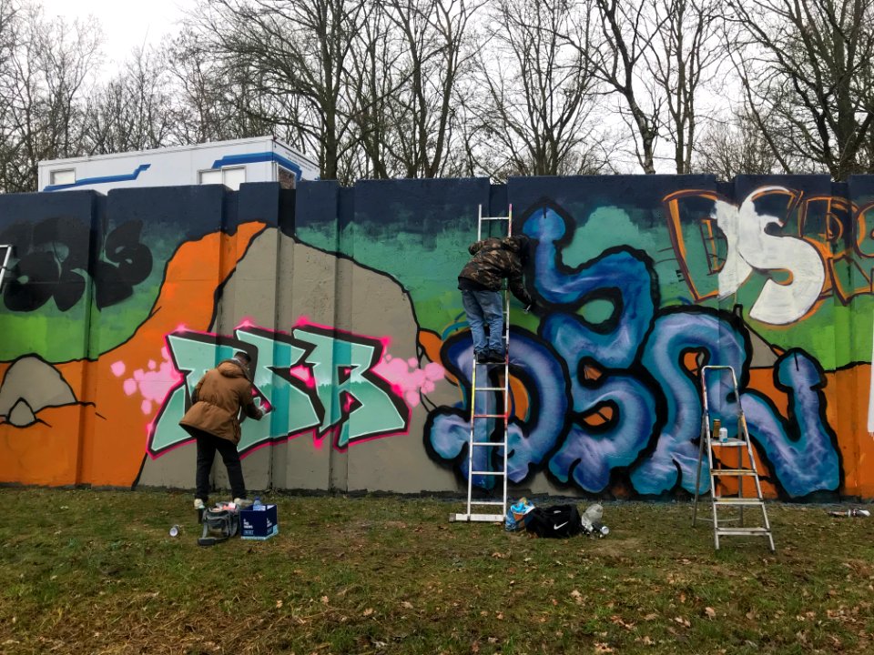 Eindhoven Berenkuil, step in the graffiti arena, DSR Doing… 