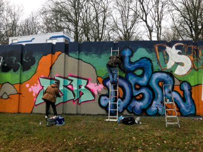 Eindhoven Berenkuil, step in the graffiti arena, DSR Doing… 