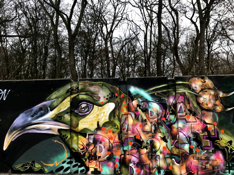 Eindhoven Berenkuil, step in the graffiti arena 