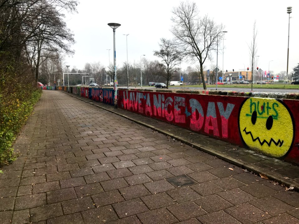 Eindhoven Berenkuil, step in the graffiti arena 