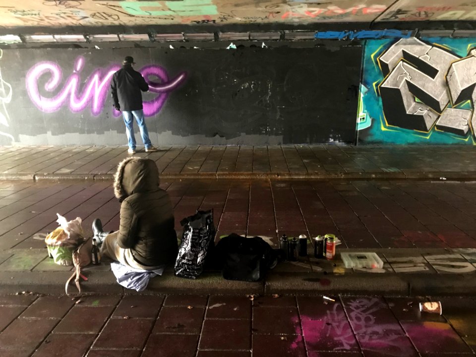 Eindhoven Berenkuil, step in the graffiti arena, with grou… 