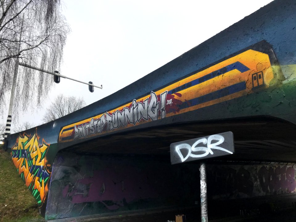 Eindhoven Berenkuil, step in the graffiti arena, Doing Som… 