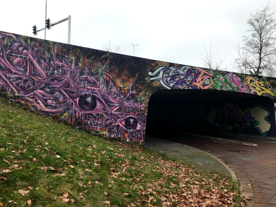 Eindhoven Berenkuil, step in the graffiti arena 
