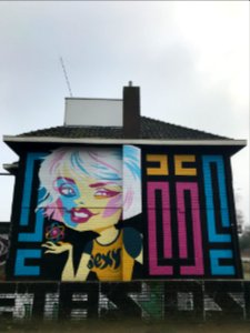 Eindhoven Berenkuil, step in the graffiti arena 