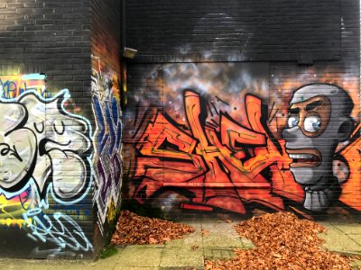 Eindhoven Berenkuil, step in the graffiti arena 