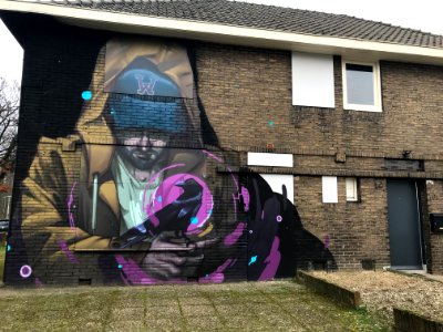 Eindhoven Berenkuil, step in the graffiti arena 