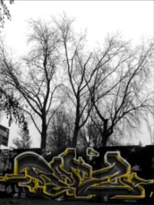 Eindhoven Berenkuil, step in the graffiti arena 