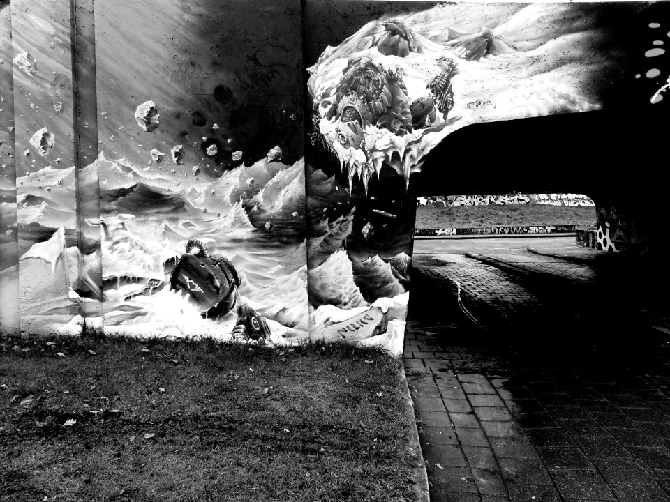 Eindhoven Berenkuil, step in the graffiti arena 