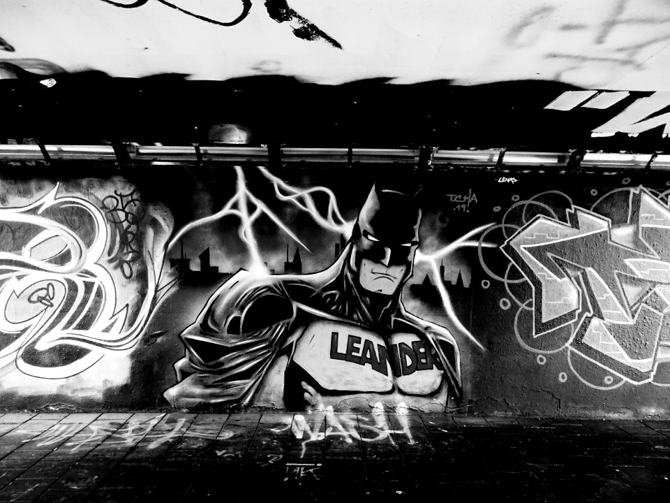 Eindhoven Berenkuil, step in the graffiti arena 