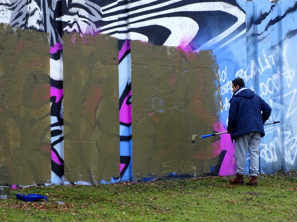 Eindhoven Berenkuil, step in the graffiti arena 
