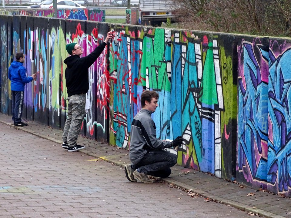 Eindhoven Berenkuil, step in the graffiti arena 