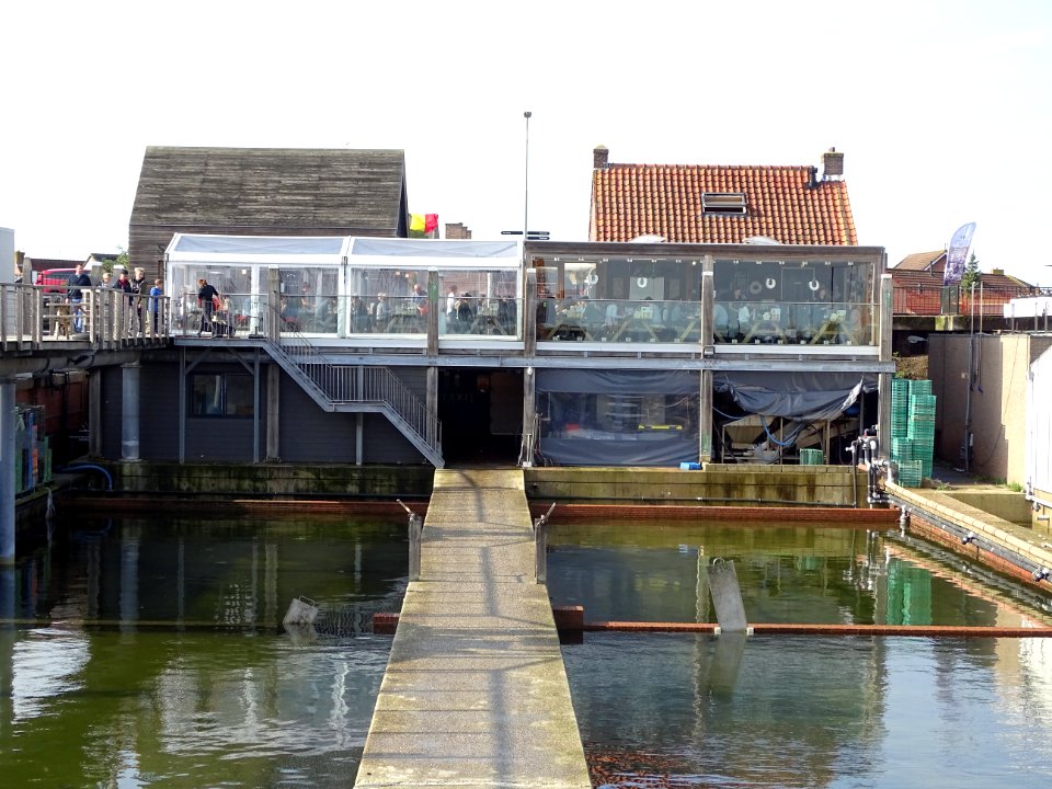 Met zijn allen mosselen eten in Yerseke 